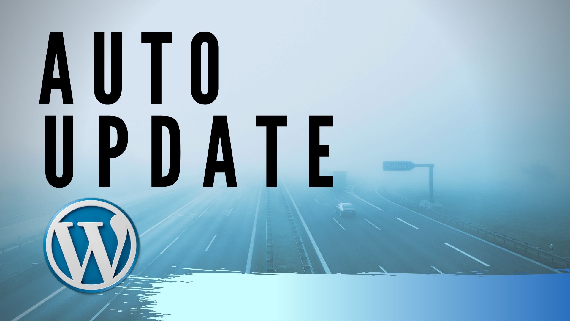 How to Auto Update WordPress Plugins and Themes - DIY Plugin Tutorial ...